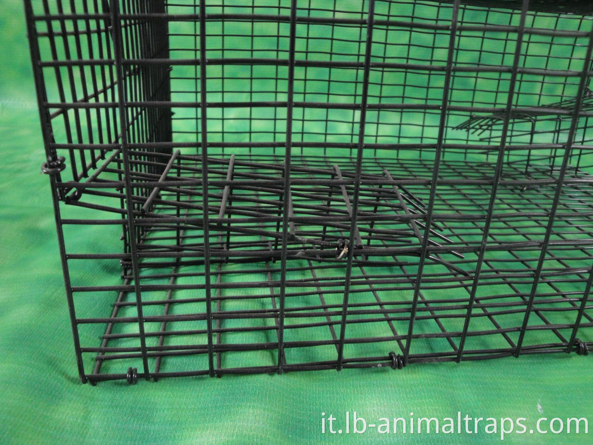 Facile set riutilizzabile Humane Live Animal Catch Cage Trap per intrappolare procioni, conigli